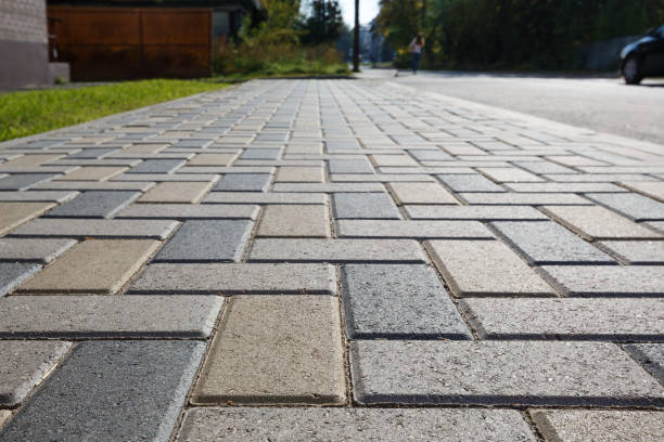Best Professional Driveway Pavers  in Ravenel, SC