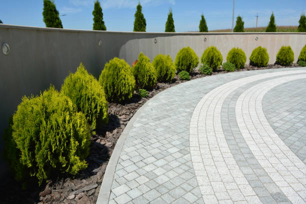 Best Driveway Pavers Near Me  in Ravenel, SC